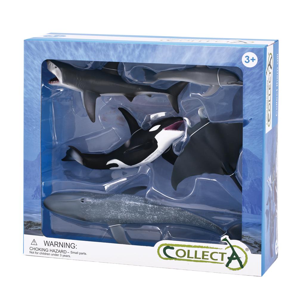 Collecta Sea Life Gift Set in Window Box, 5 Piece Buy online at The Nile