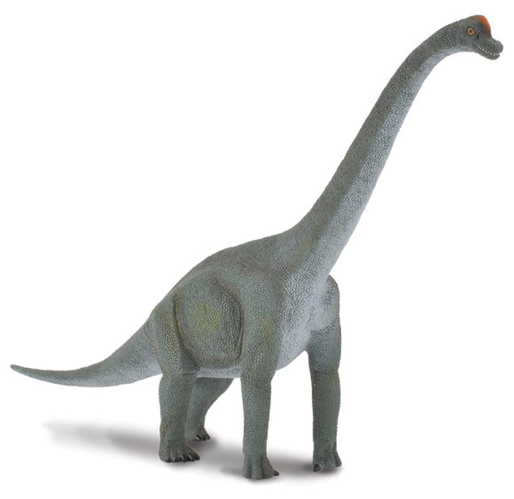 CollectA Brachiosaurus Figurine | Buy online at The Nile