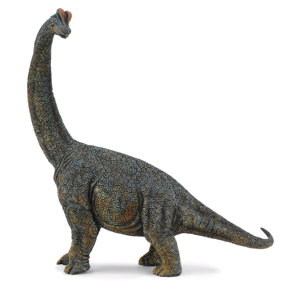 1:40 Scale Deluxe Figurine - Brachiosaurus, 4892900884059