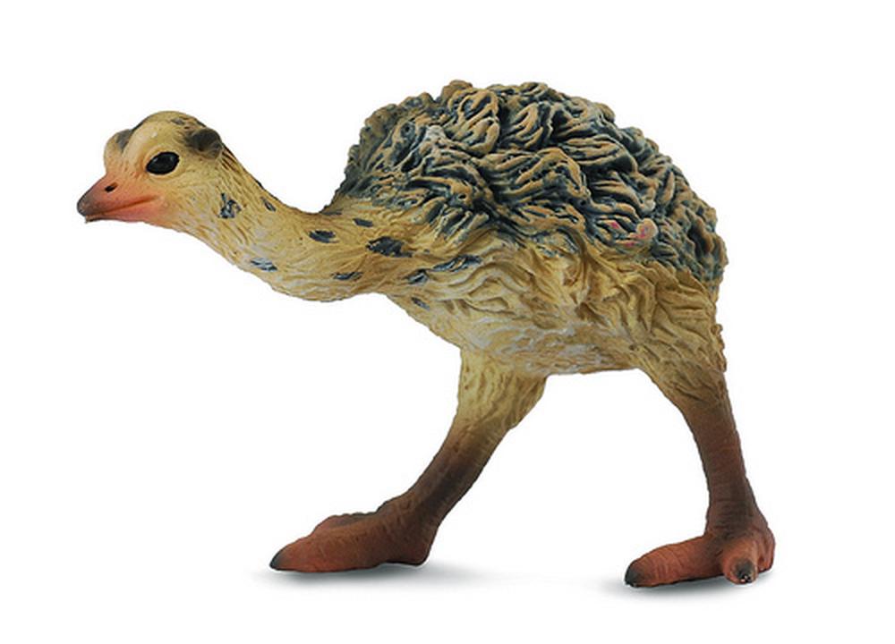CollectA Ostrich Figurine - Chick Walking | Buy online at The Nile
