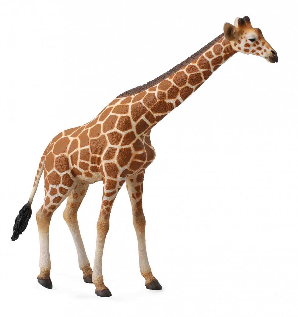 CollectA Reticulated Giraffe Figurine, 4892900885346