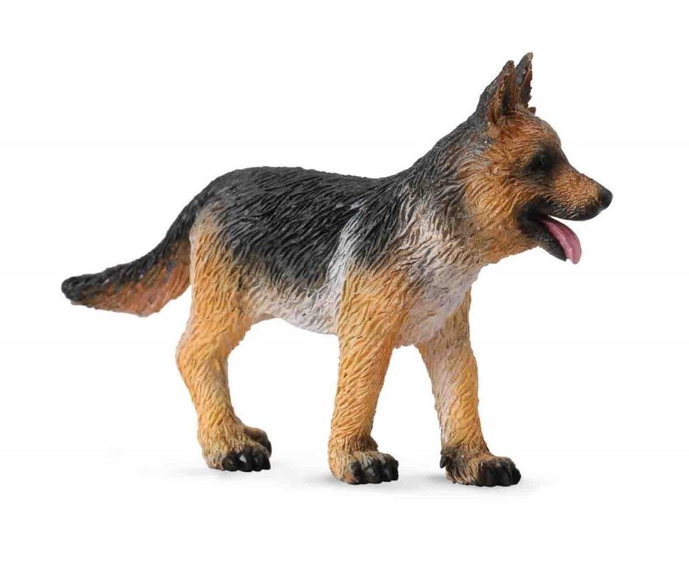 Buy german 2024 shepherd online