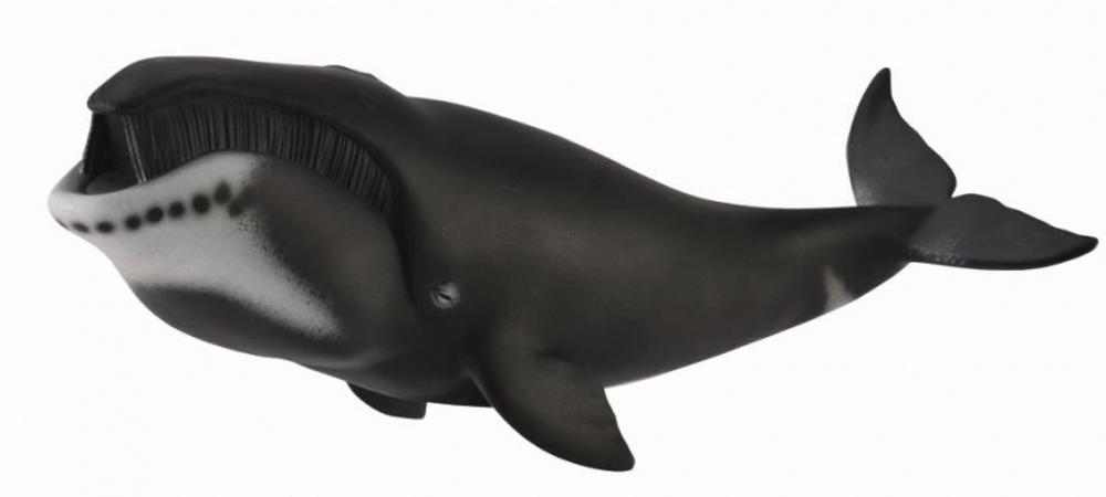 CollectA Bowhead Whale Figurine, 4892900886527