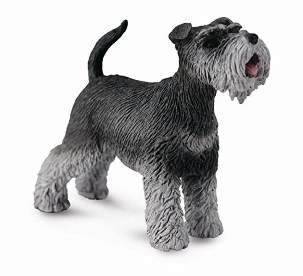 CollectA Schnauzer Figurine | Buy online at The Nile