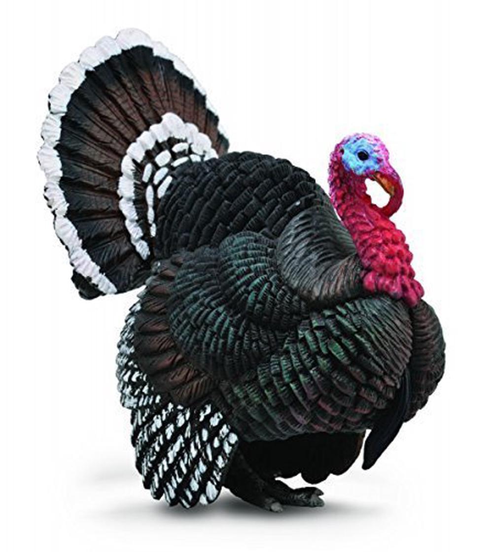 Turkey Figurine, 4892900887623