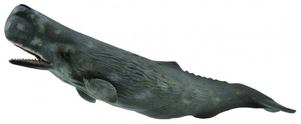 CollectA Sperm Whale Figurine, 4892900888354