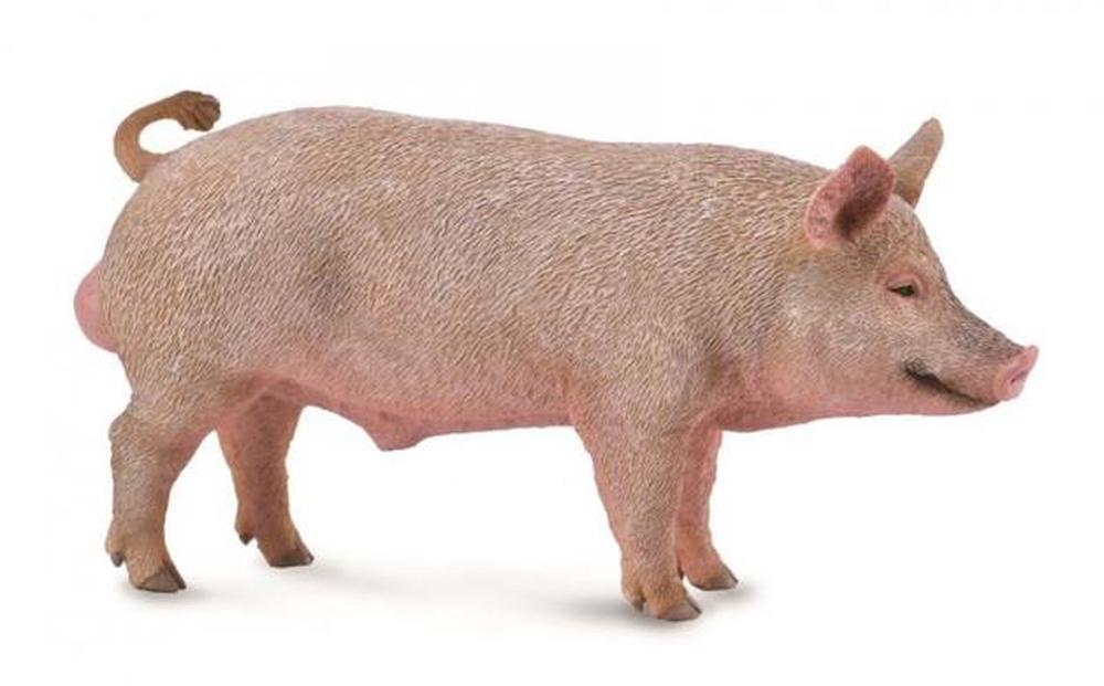 Boar Figurine - 13.2 x 5cm, 4892900888644