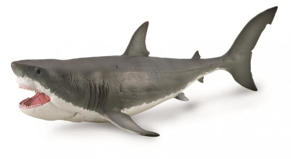 CollectA Megalodon with Movable Jaw Deluxe Toy Figurine | Buy online at ...