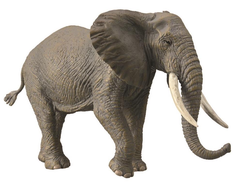 CollectA African Elephant Animal Figurine Buy online at The Nile