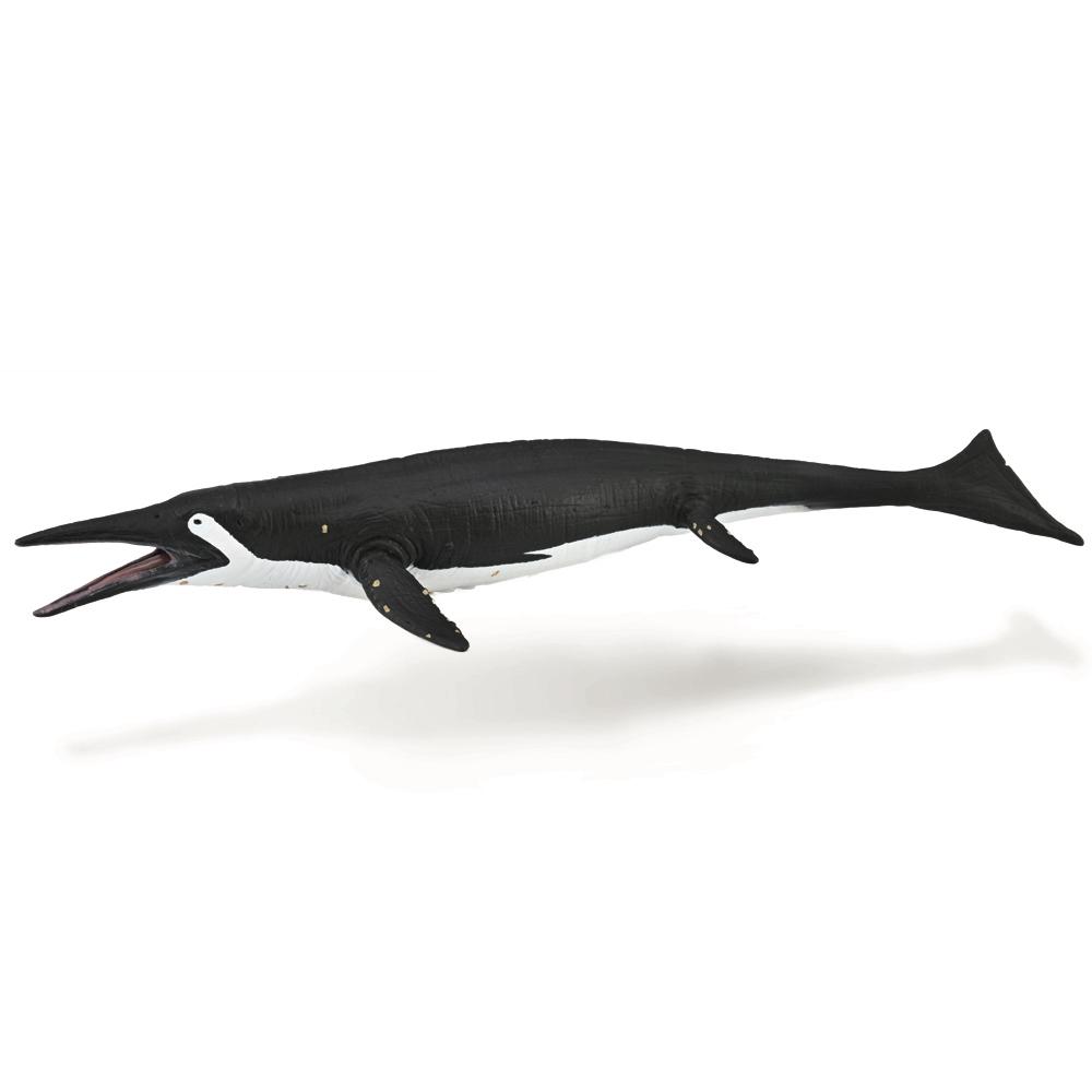 Shastasaurus, 4892900889740
