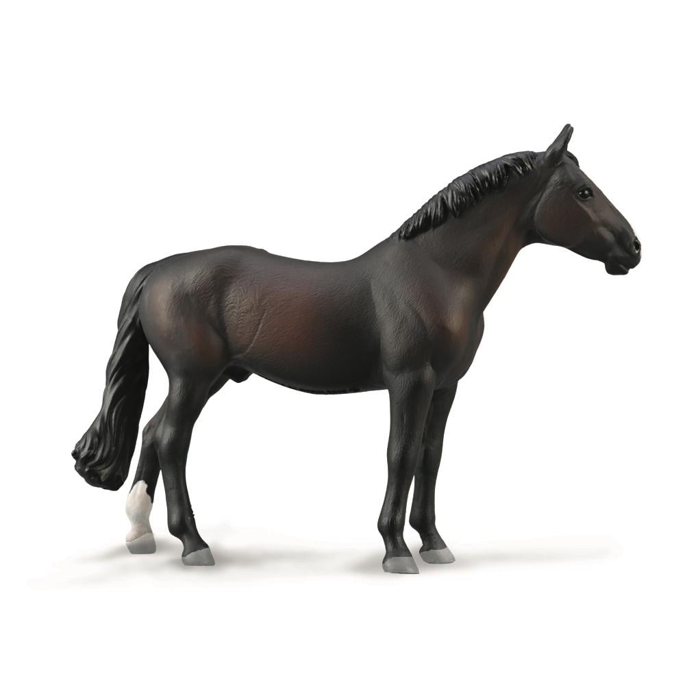Holsteiner Stallion Bay, 4892900889870