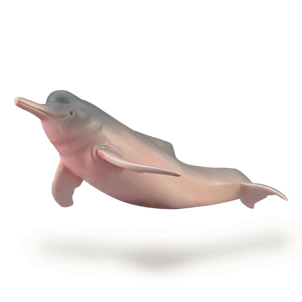 Amazon River Dolphin, 4892900889948
