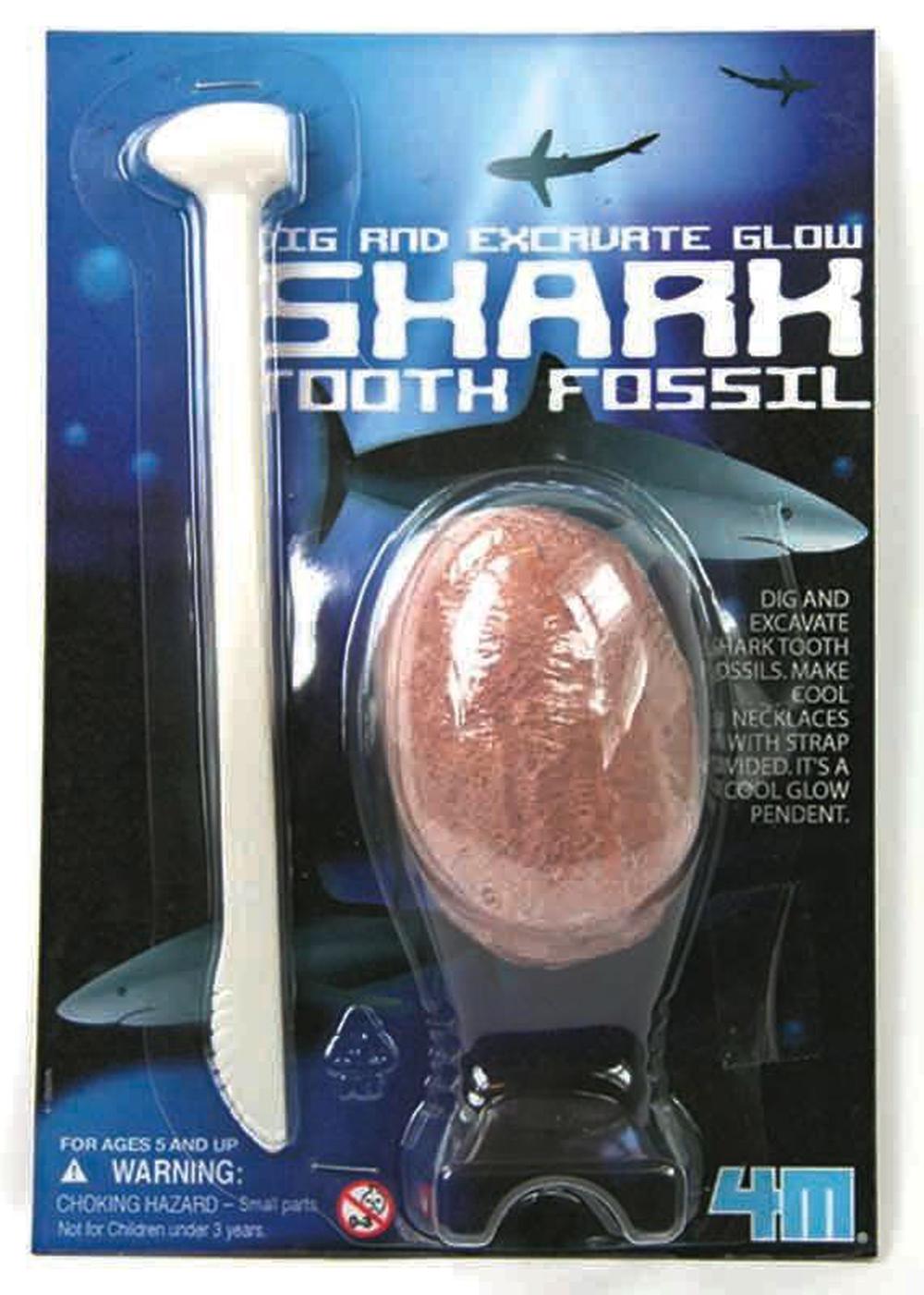 Shark Tooth Fossil, 4893156059185