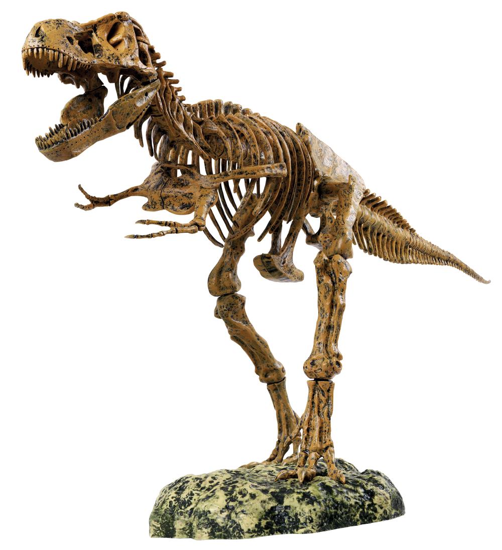 Animal Planet Giant Tyrannosaurus Rex Skeleton | Buy online at The Nile