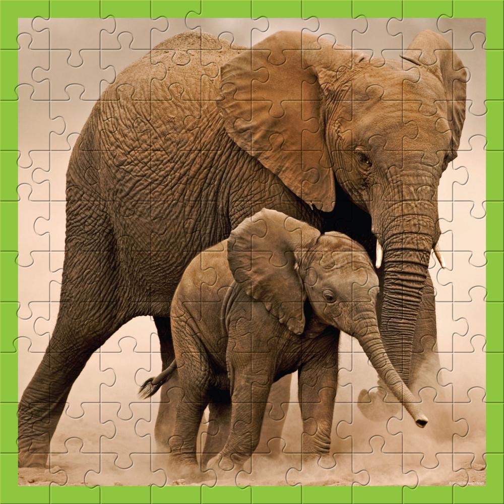 WWF 100 Piece Animal Jigsaw Puzzles Baby Elephant Buy online at The