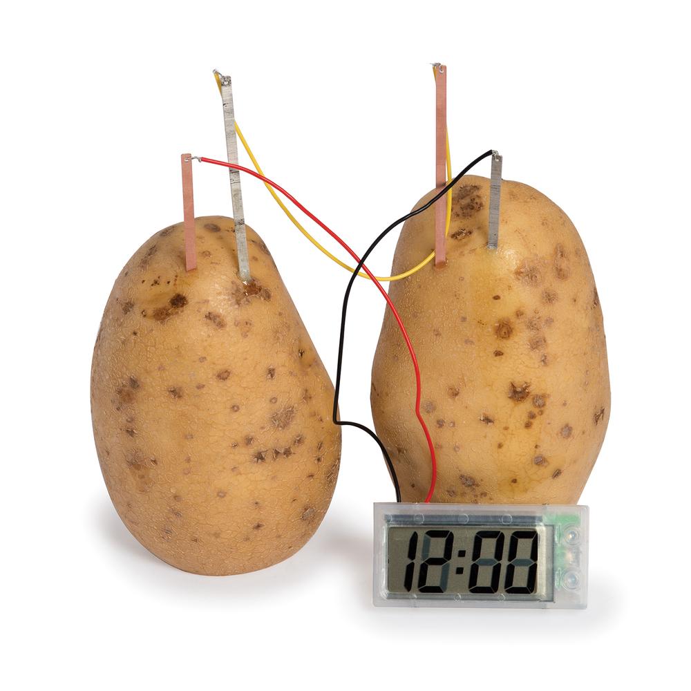 Funtime Gifts Potato Clock Buy online at The Nile