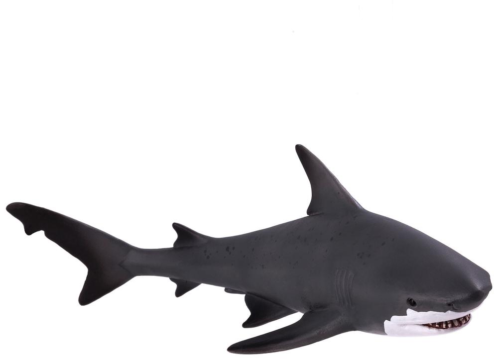 shark toys nz