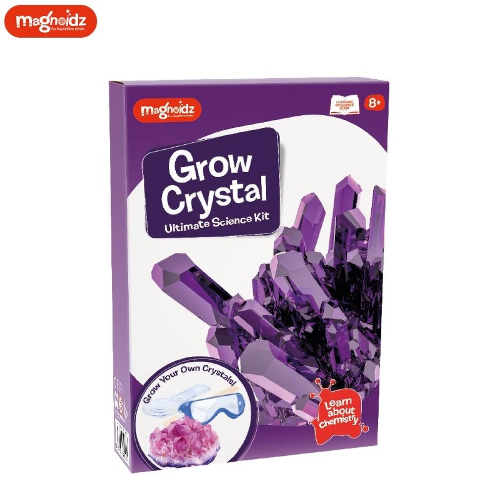Magnoidz Crystal Growing Kit 25cm Buy online at The Nile
