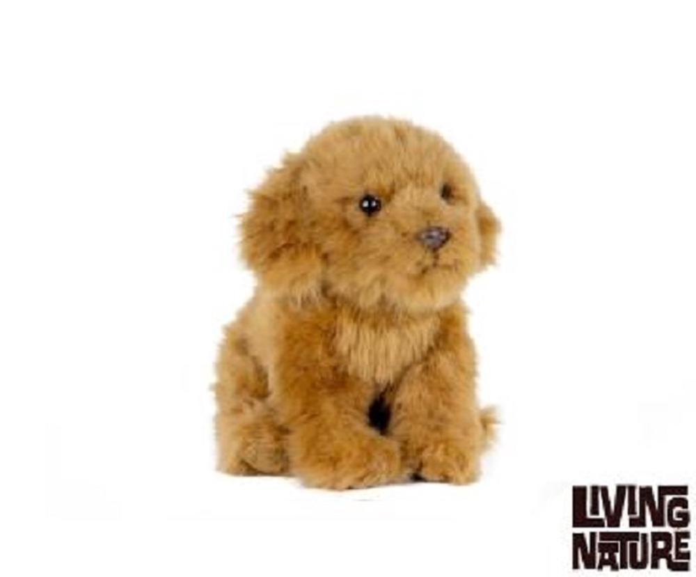 Living Nature Cavapoo Soft Toy 20cm Buy online at The Nile