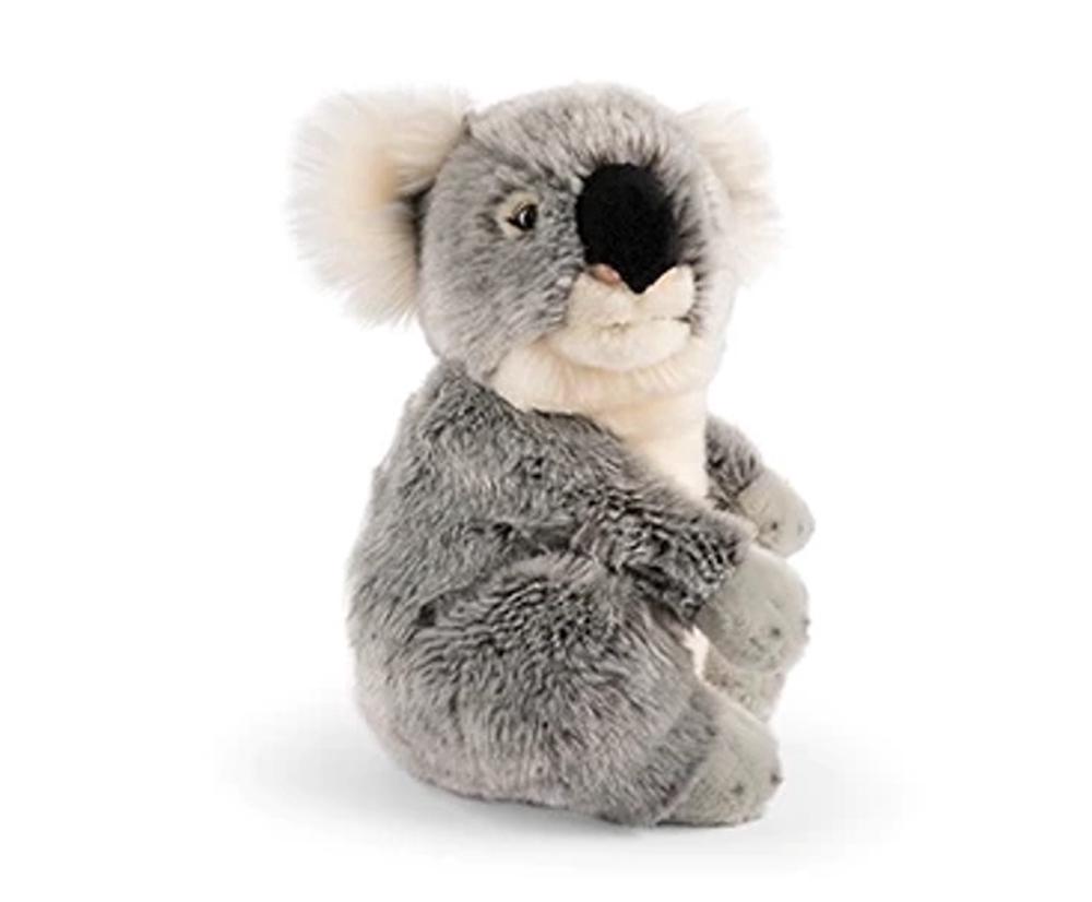 Koala Soft Toy, 5037832325686
