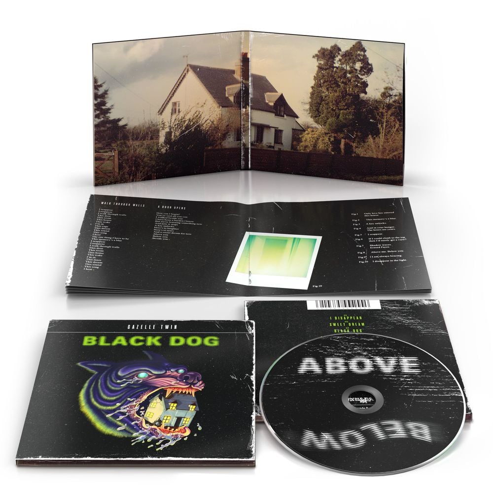 Black Dog - ISBN: 5051083195157