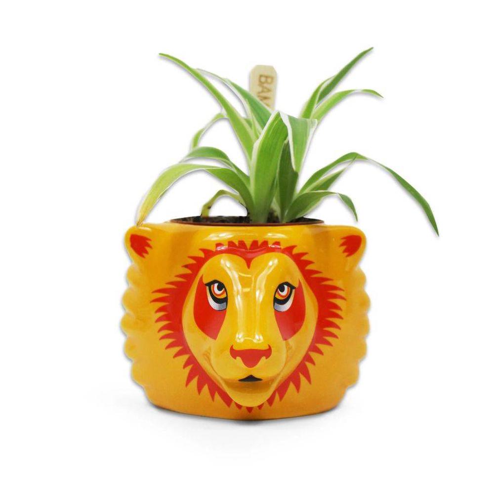 Harry Potter - Gryffindor Plant Pot, 5055453489204