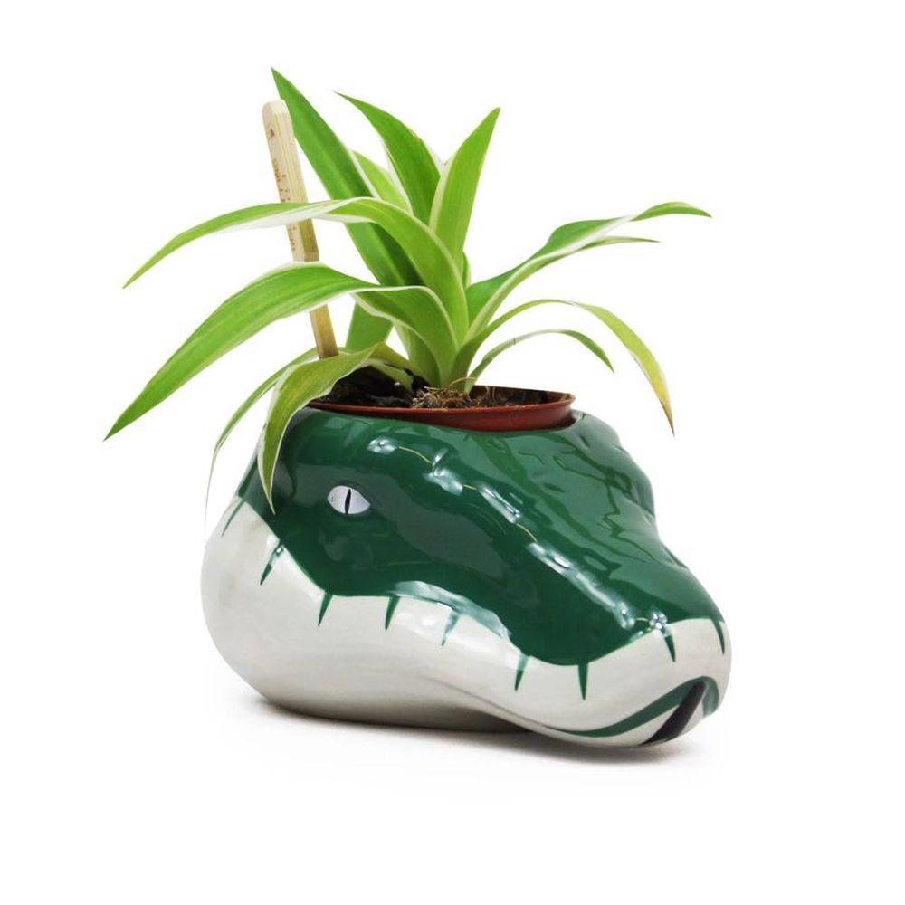 Harry Potter - Slytherin Plant Pot, 5055453489211