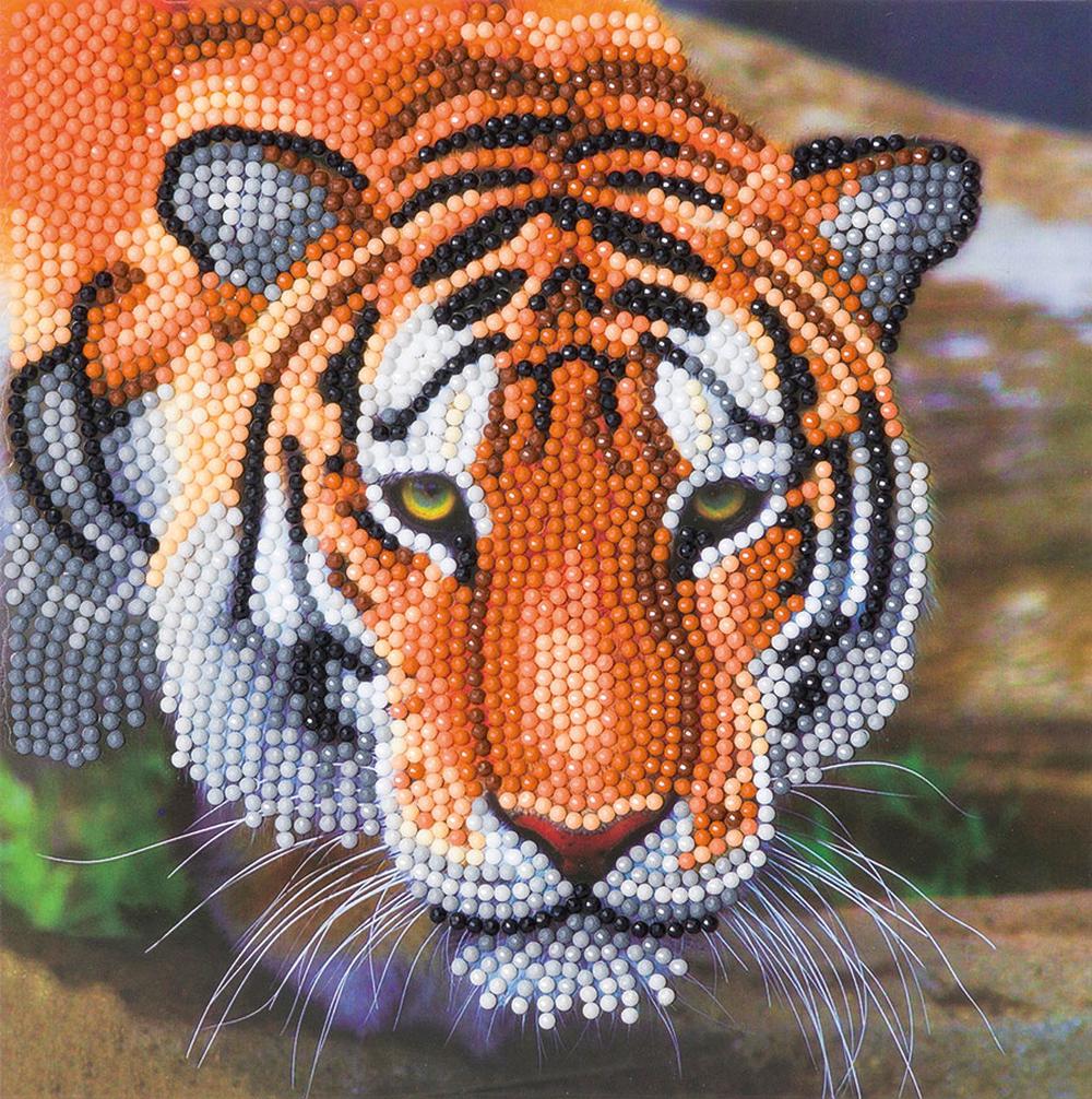 Craft Buddy Tiger Art Card Kit - 18x18cm, 5055865485153