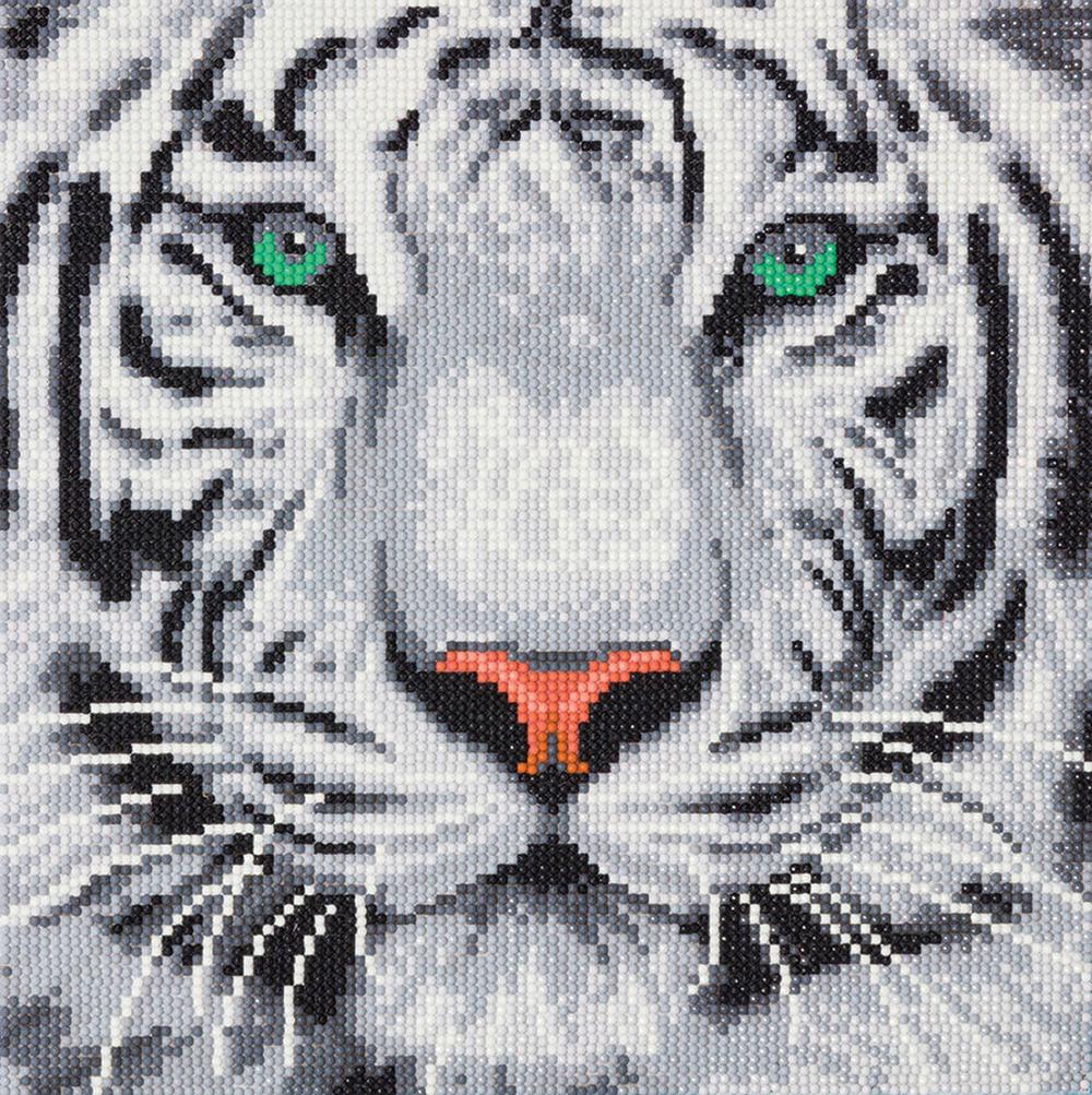Craft Buddy White Tiger Art Kit - 30x30cm, 5055865485870
