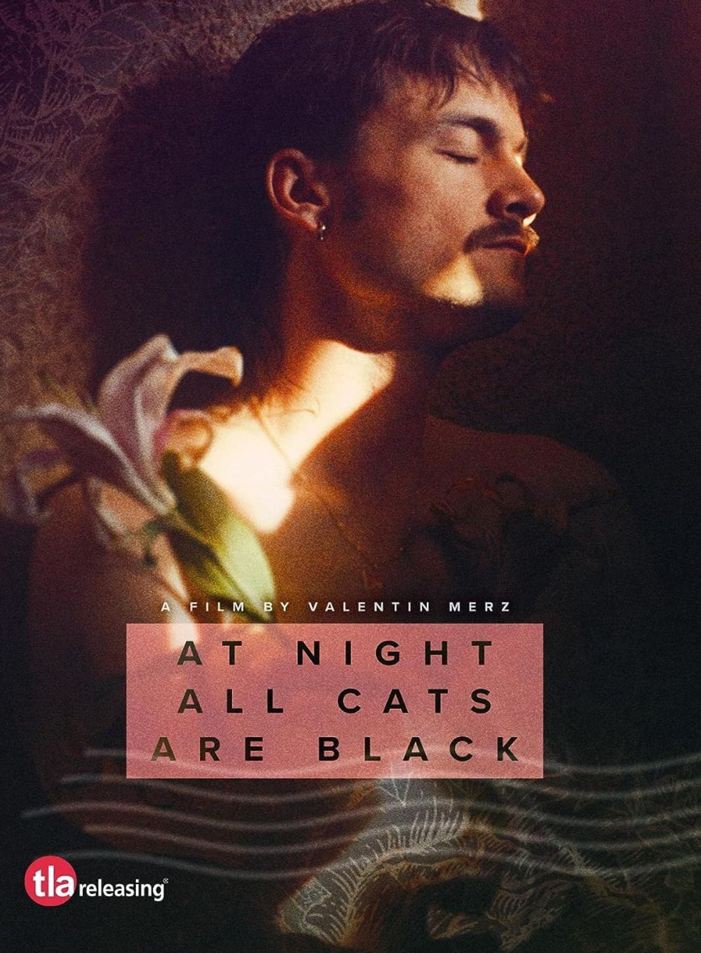 At Night All Cats Are Black - ISBN: 5060496453914