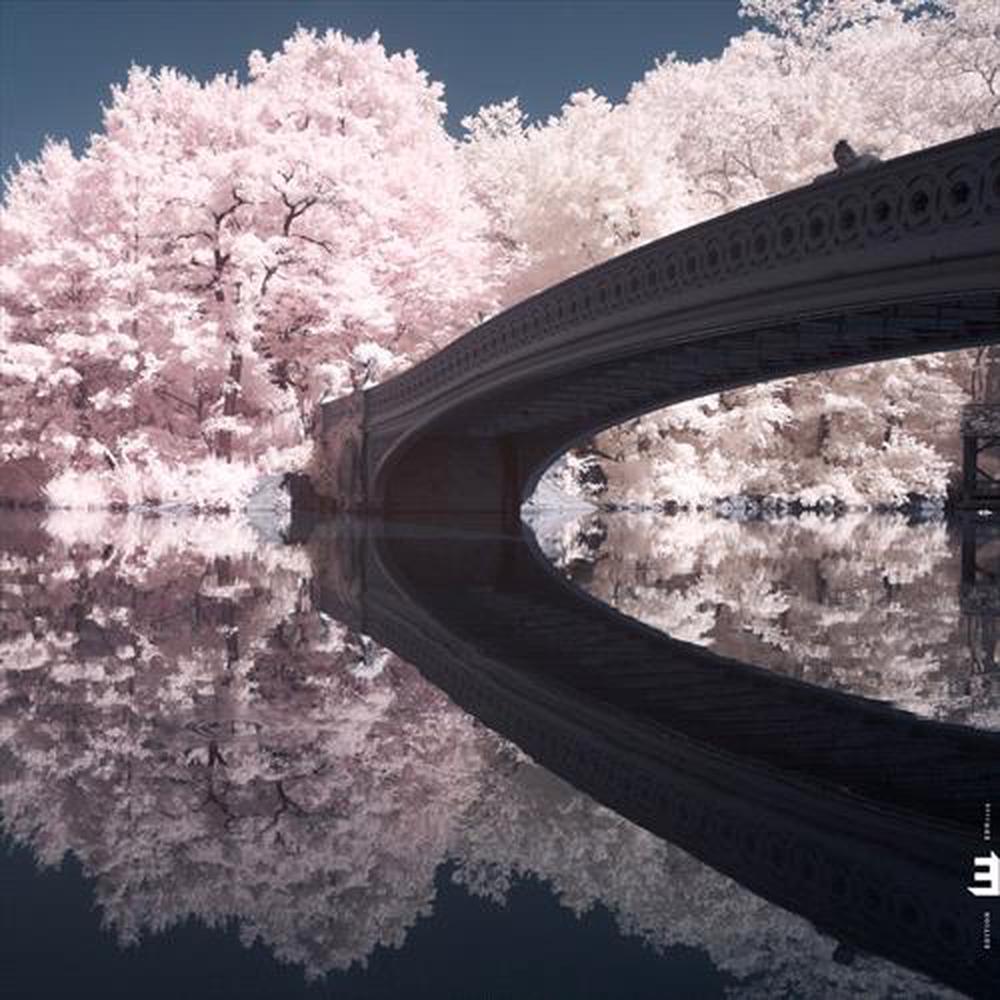 The Long Game, 5060509790678