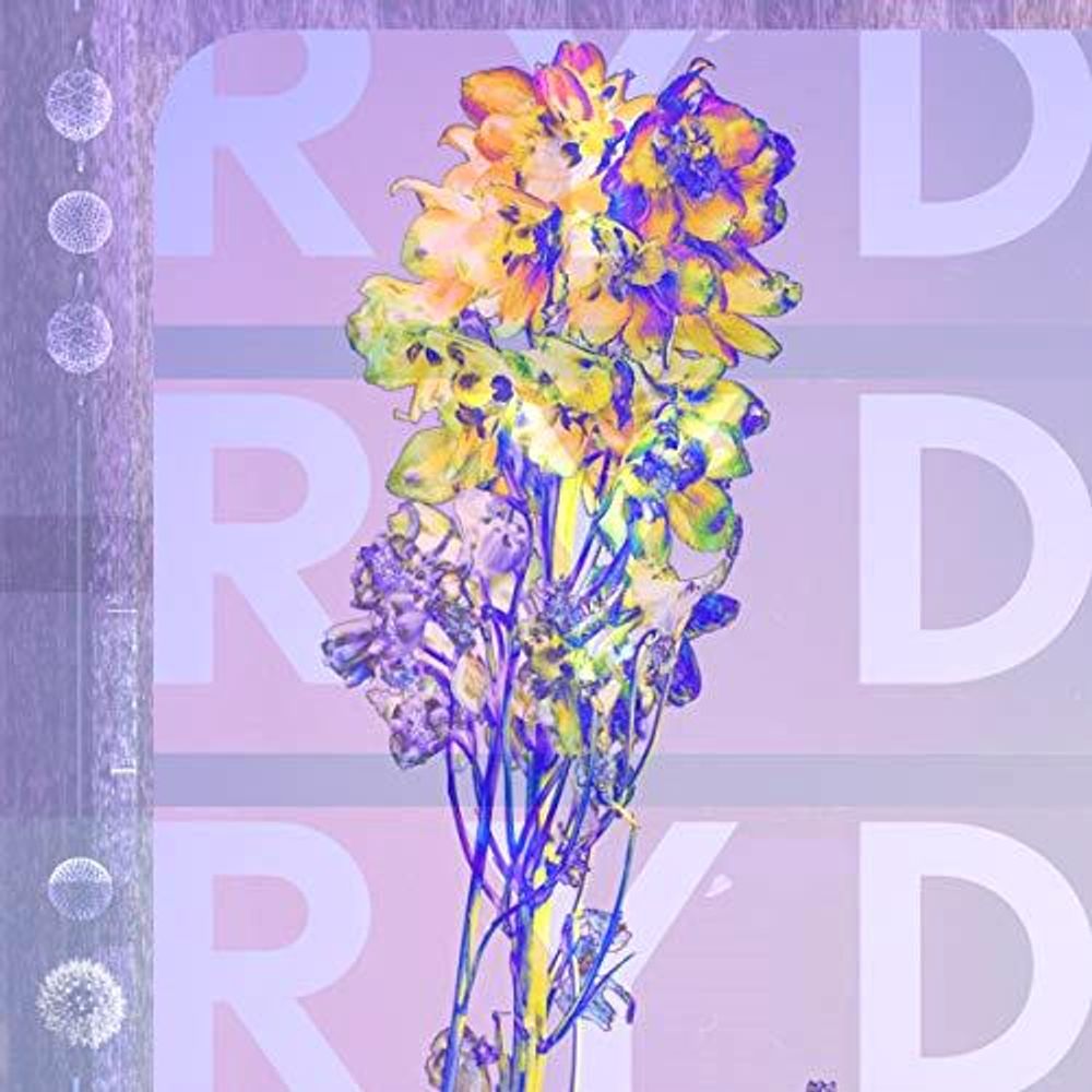 Ryd - ISBN: 5414940015539