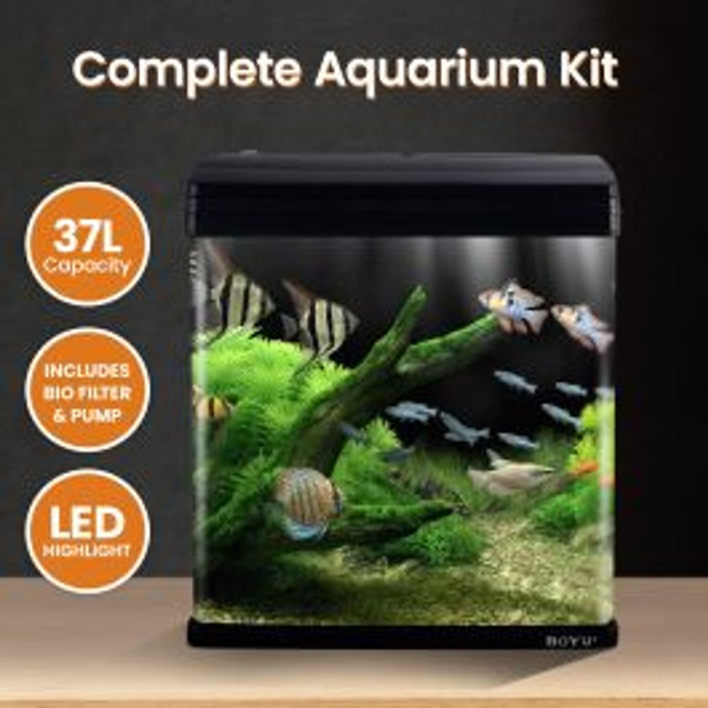 Boyu Complete Aquarium Starter Kit Curved Glass Fish Tank with LED Light Bio & Filter Pump - 37 Litre by Boyu - ISBN: 6941855203793
