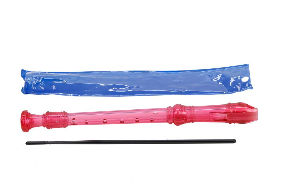 VIVAIO Plastic Recorder Buy online at Tiny Fox