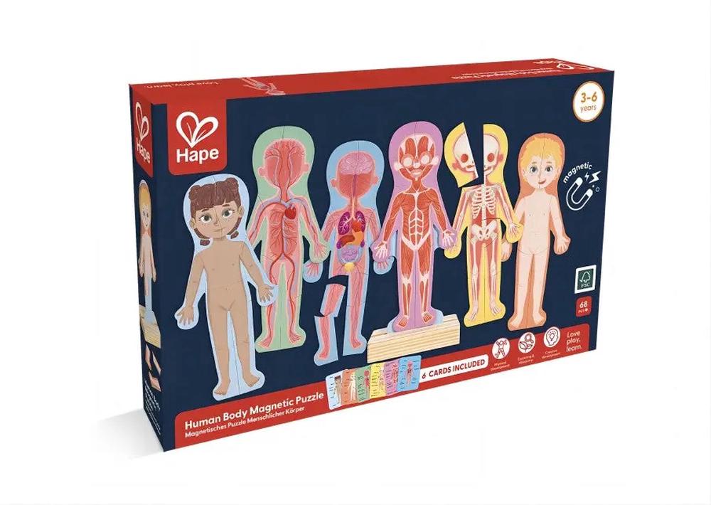 Human Body Magnetic Puzzle, 6943478047044