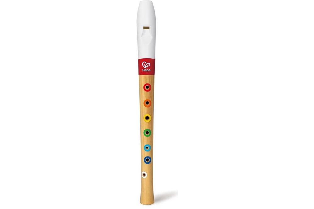 Musicians Starter Recorder, 6943478048430