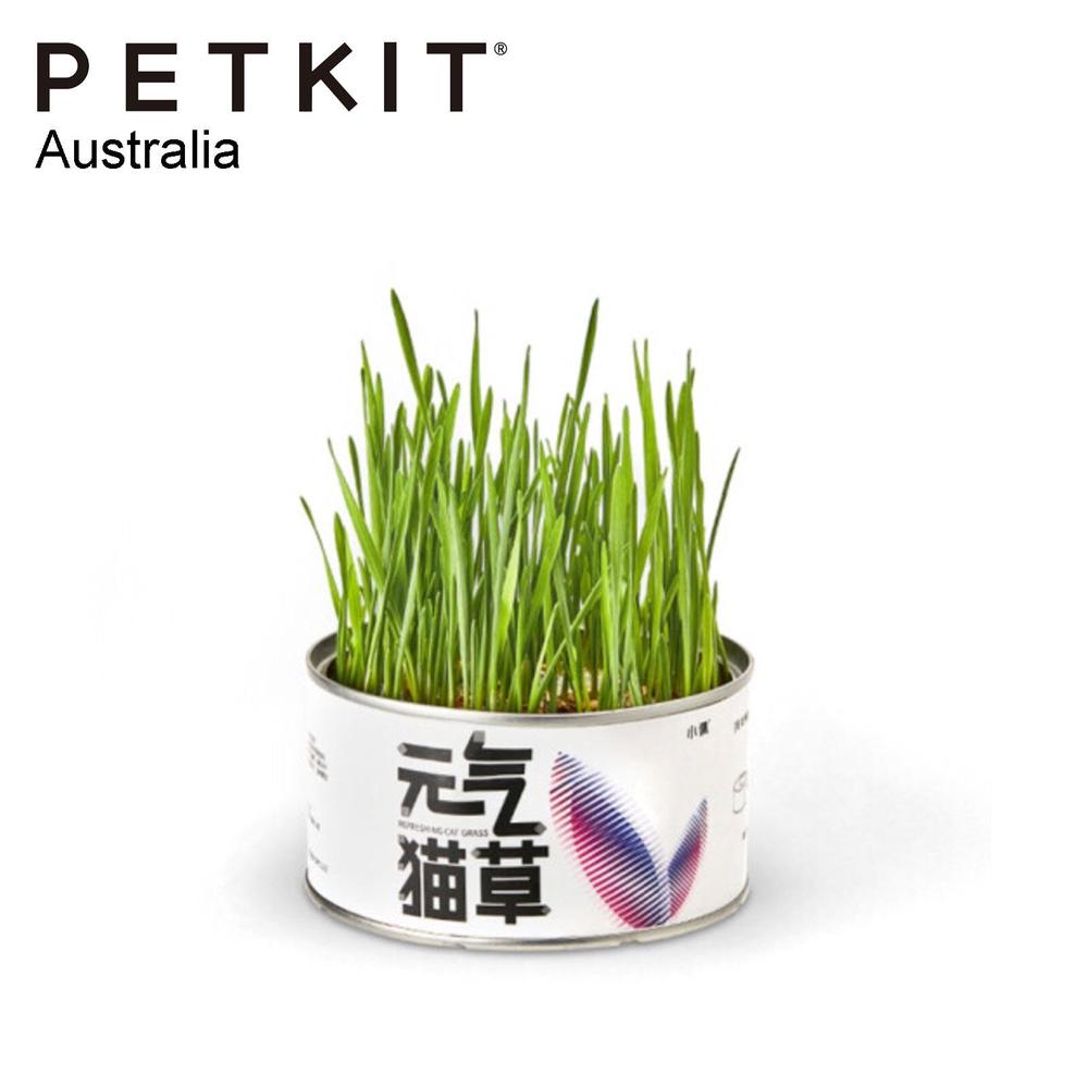 PETKIT Genki Cat Grass Vermiculite Buy online at The Nile
