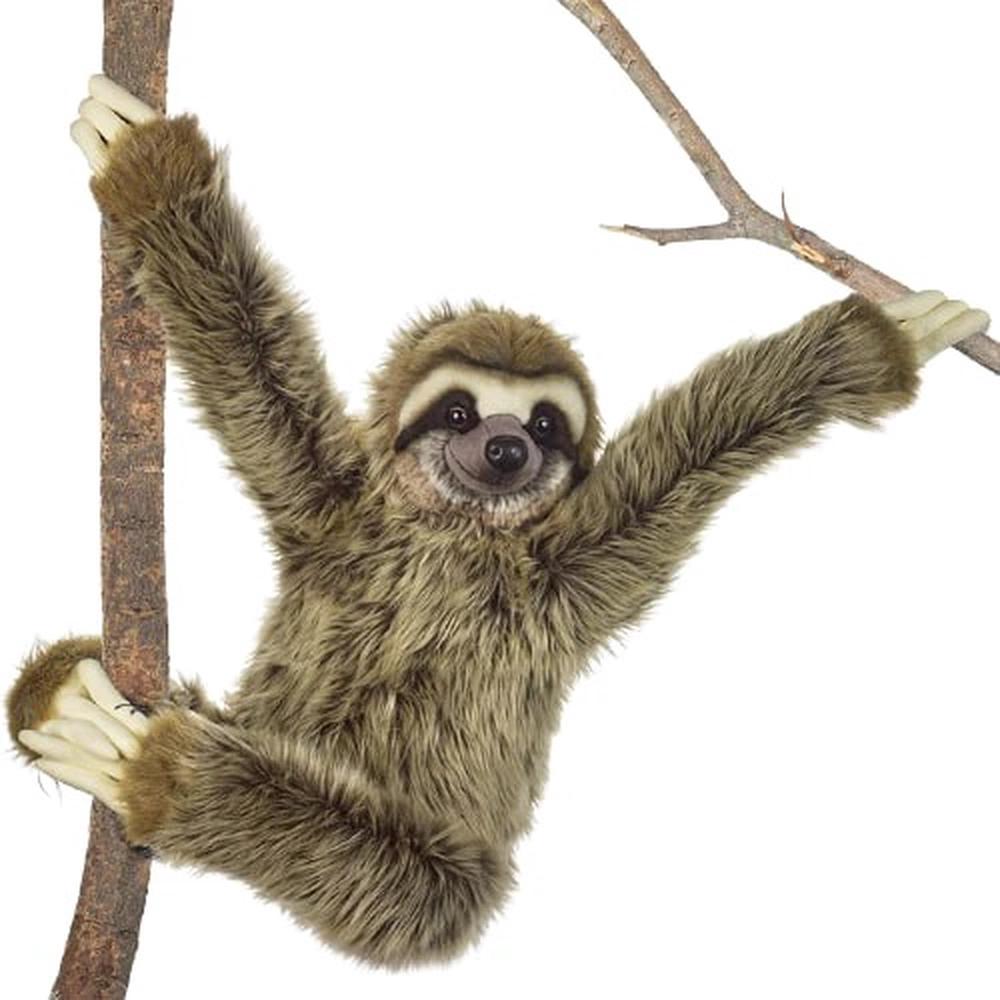 National Geographic Sloth Plush Toy - 80cm | Buy online at The Nile