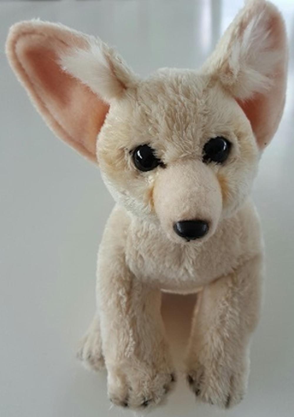 Fennec Fox  National Geographic