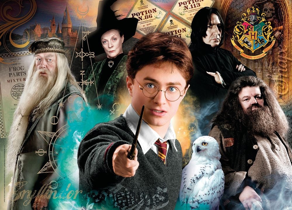 Clementoni Harry Potter & Dumbledore Jigsaw Puzzle, 500 Piece by Clementoni - ISBN: 8005125350834