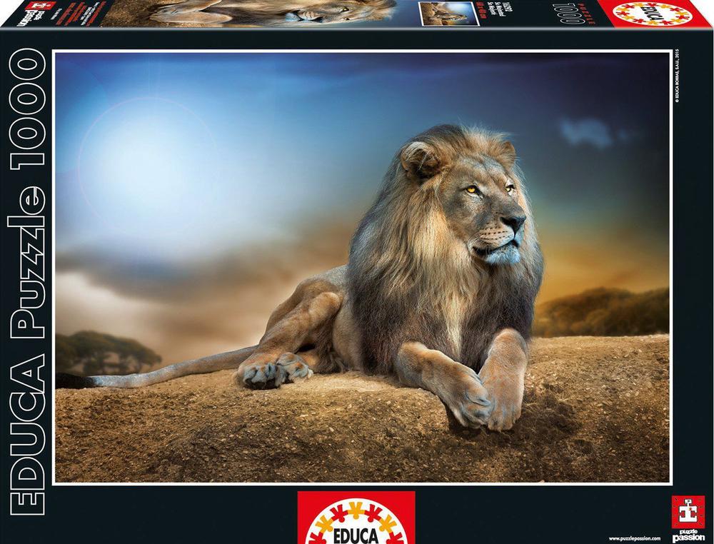 puzzle 1000 educa