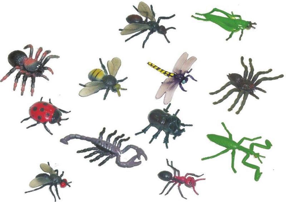 Miniland Insects - 12 Pieces | Buy online at The Nile