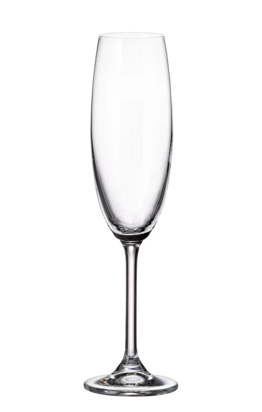 Bohemia Crystal Colibri Flute, Set of 6 - 220mL, 8593410066558