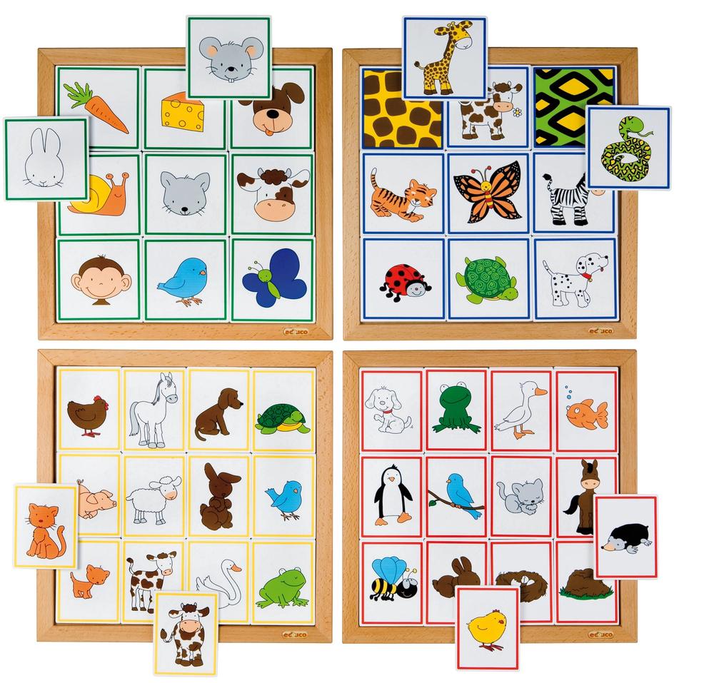 Educo creatures sorting games where do they live buy online at the