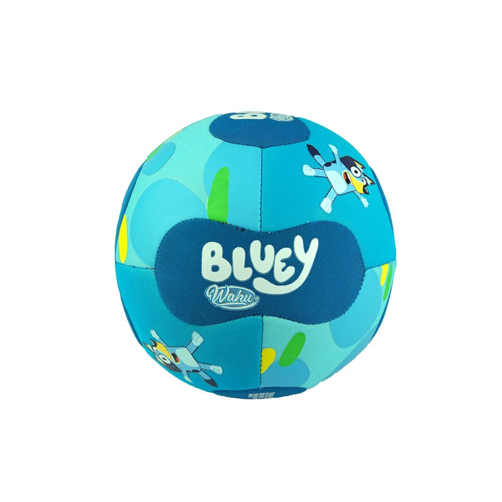 Wahu Bluey Mini Soccer Ball Buy online at The Nile
