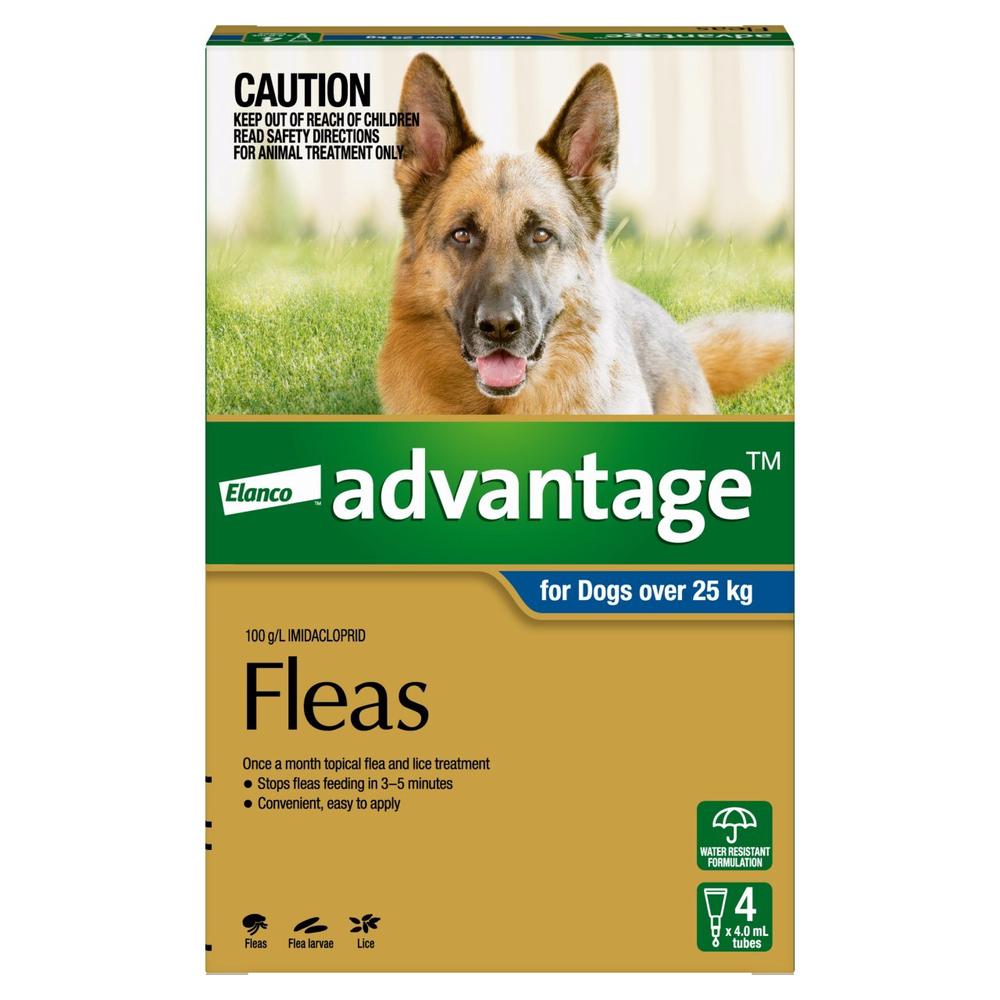 Advantage Spot-On Flea Control for Dogs Over 25kg, 4's, 9310160658548