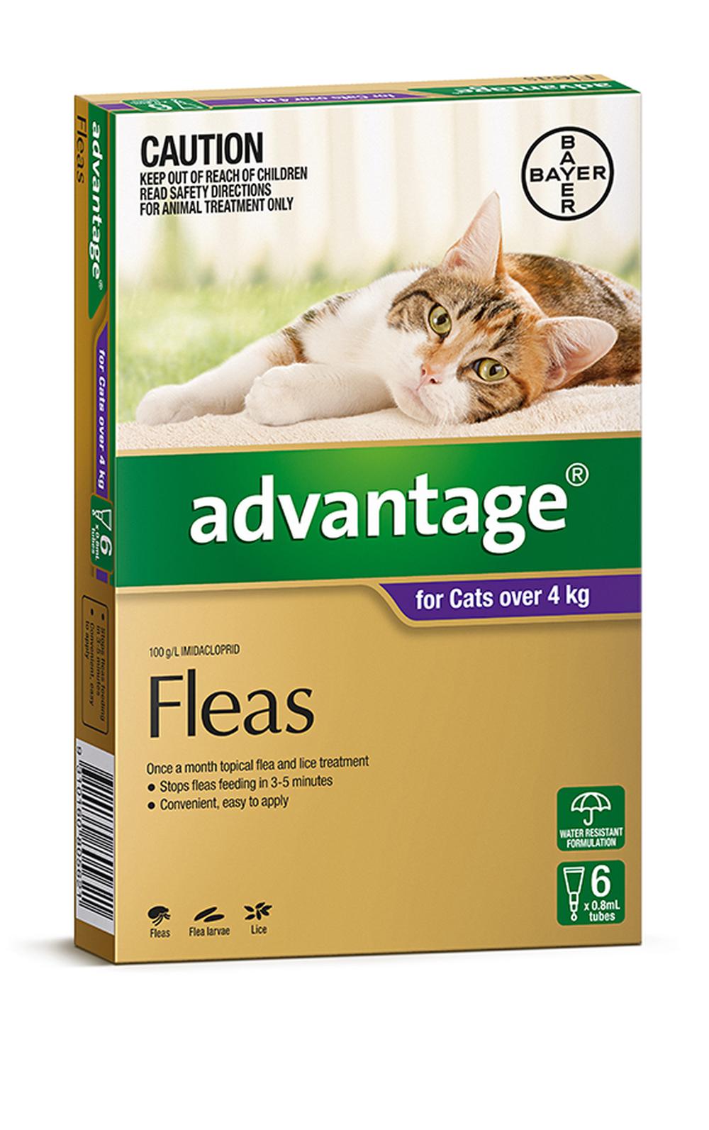 Spot-On Flea Control for Cats Over 4Kg, 6 Pack, 9310160805621
