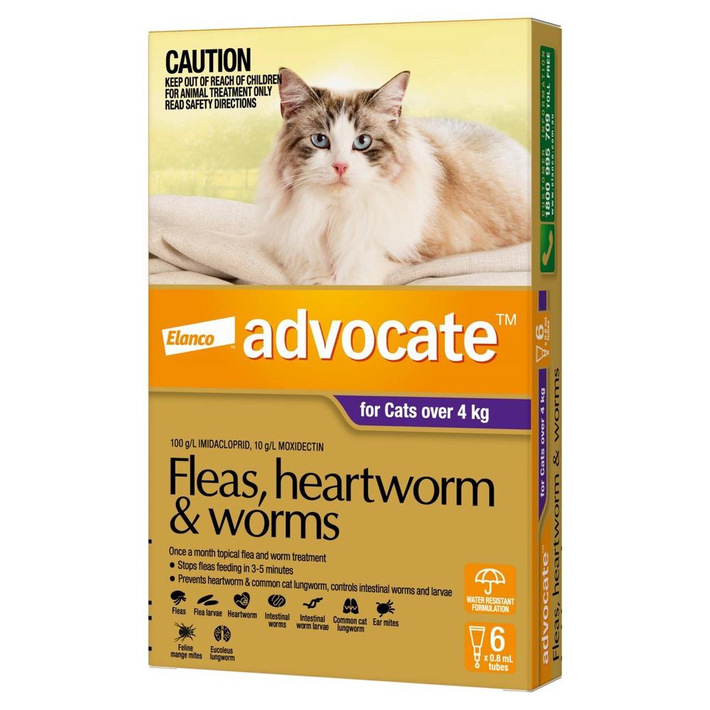 Flea & Wormer Spot on for Cats Over 4kg, 6's, 9310160805836