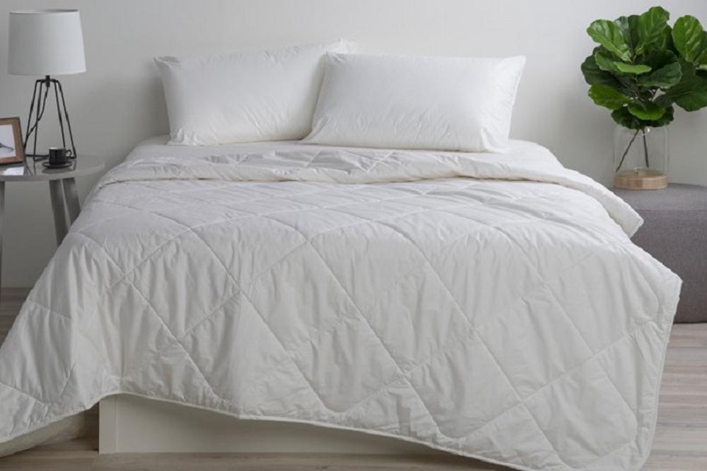 Jason Australian Wool 300GSM Quilt - Queen, 9313571115785