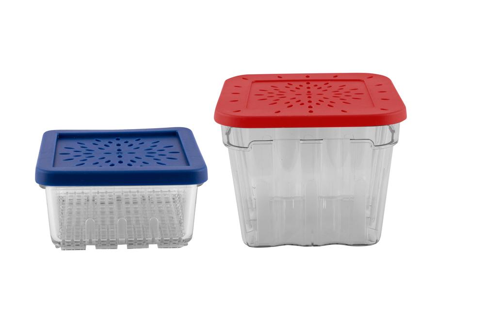 Food Storage Berry Basket, Set of 2 - 11x11x5cm/13x13x10cm, 9313803123380